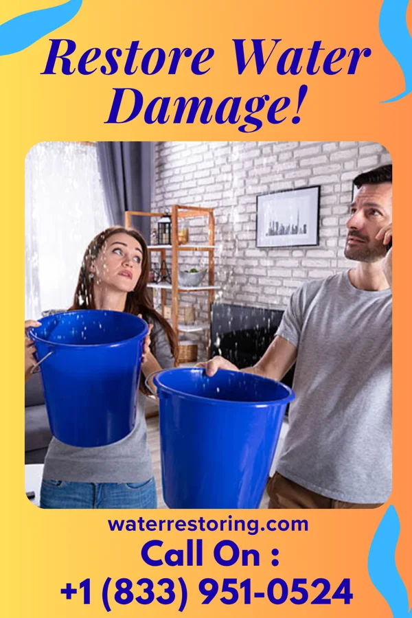 water restoration Solid Damage Recovery Experts Clyde