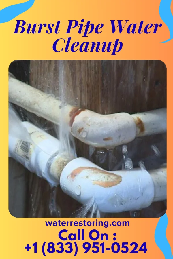 Burst Pipe Water Cleanup in Clyde, OH