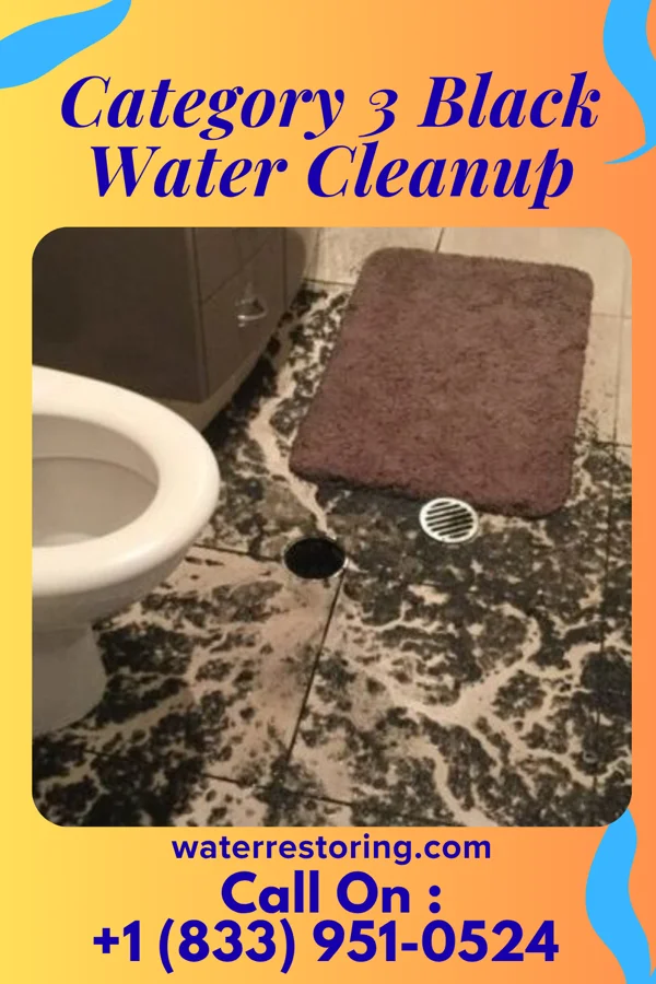 Category 3 Black Water Cleanup in Clyde, OH