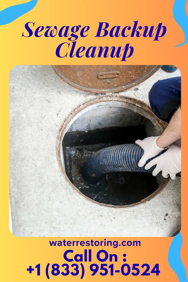 Sewage Backup Cleanup in Clyde, OH